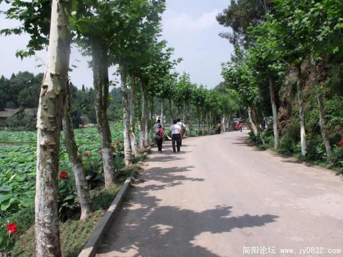 DSCF1566_调整大小.JPG