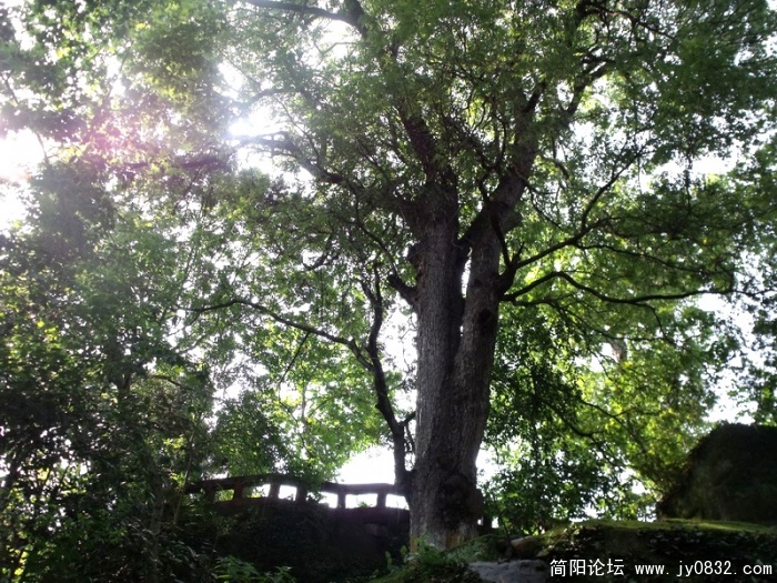 DSCF1656_调整大小.JPG
