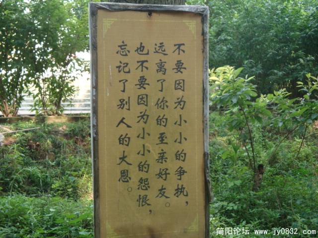 DSC00907.JPG