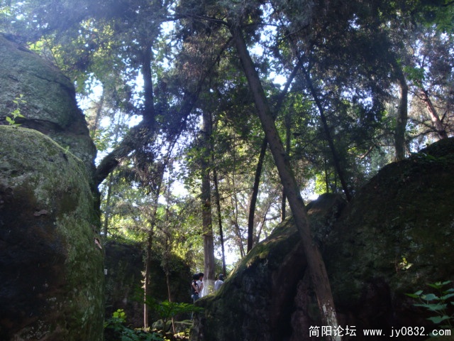 DSC00890.JPG