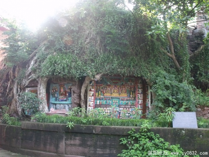 DSCF1667_调整大小.JPG