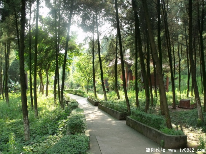 DSCF1699_调整大小.JPG
