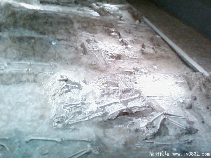 SP_A1338.JPG