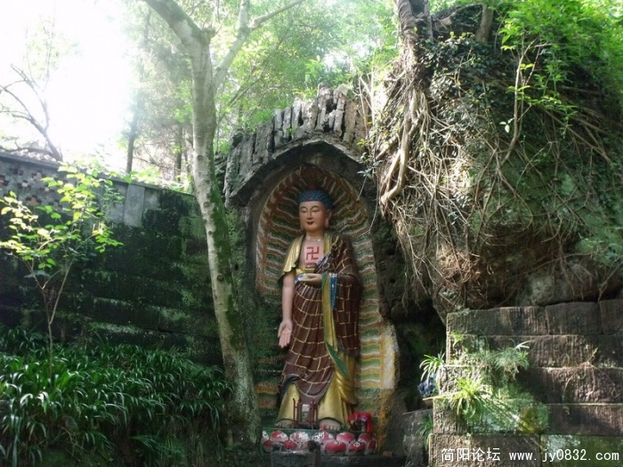 DSCF1662_调整大小.JPG