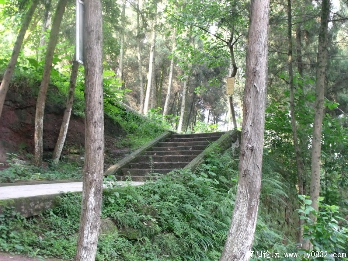 DSCF1693_调整大小.JPG