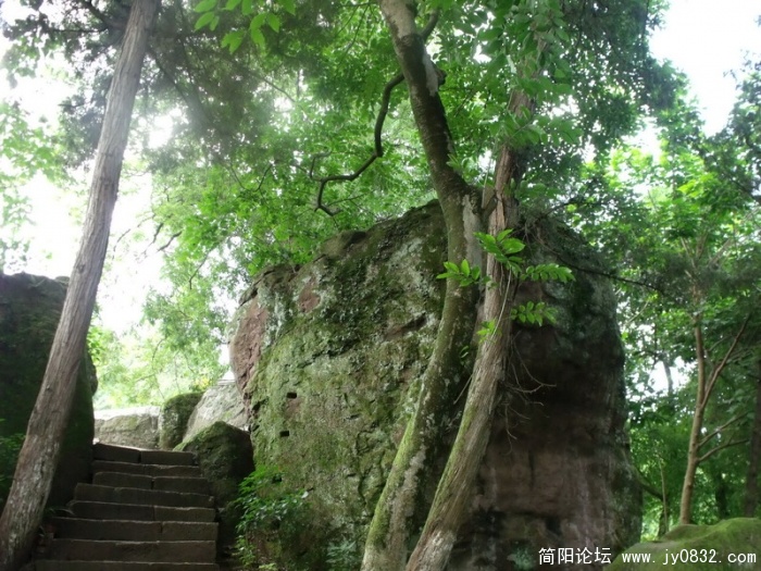 DSCF1723_调整大小.JPG
