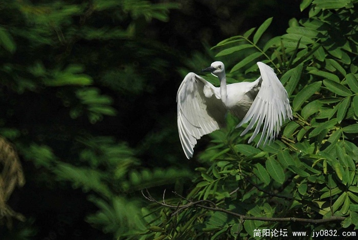 DSC_1722副本副本.jpg