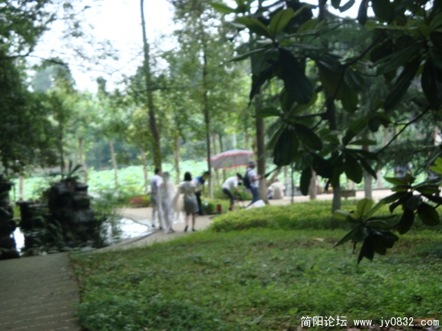 DSC00870.JPG