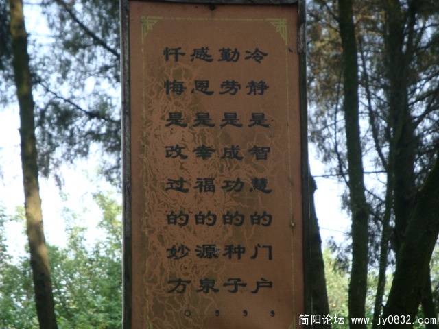 DSC00906.JPG