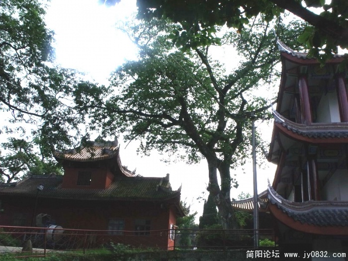 DSCF1689_调整大小.JPG