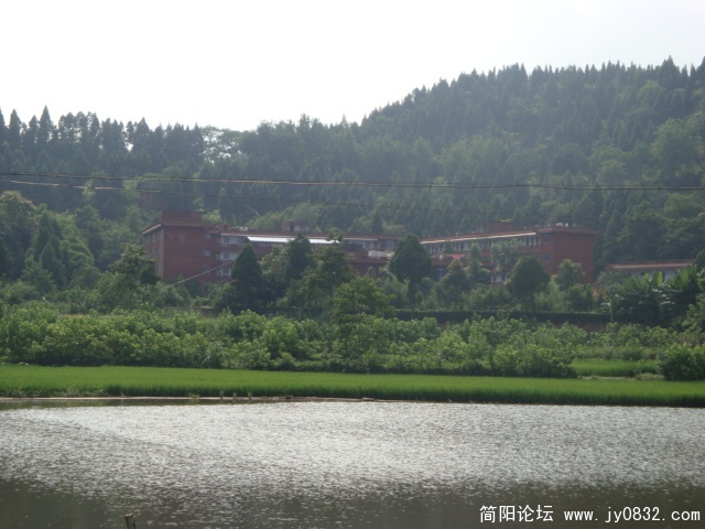 DSC00877.JPG