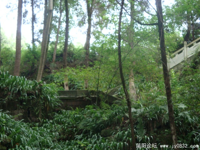 DSC00869.JPG
