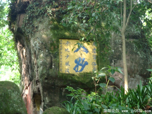 DSC00894.JPG