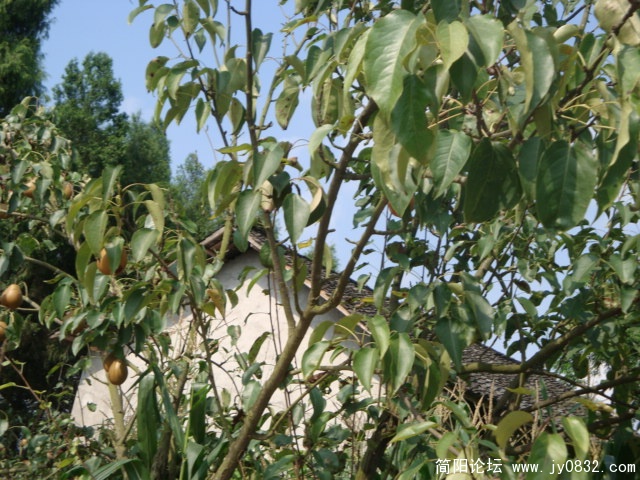 DSC00874.JPG