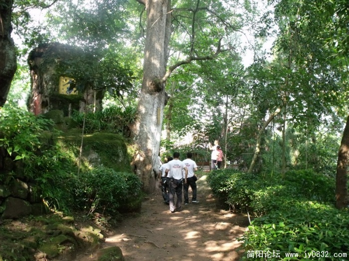 DSCF1663_调整大小.JPG