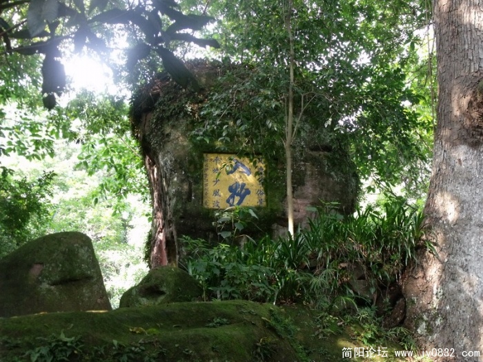 DSCF1664_调整大小.JPG