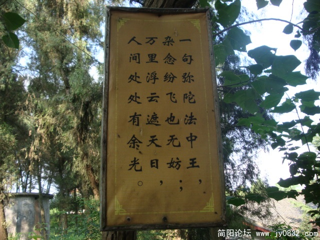 DSC00904.JPG