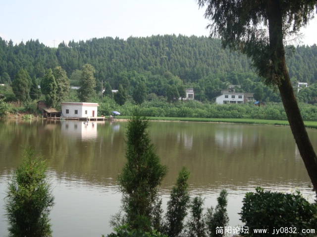 DSC00882.JPG
