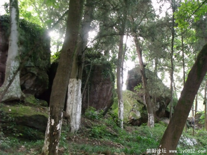 DSCF1729_调整大小.JPG