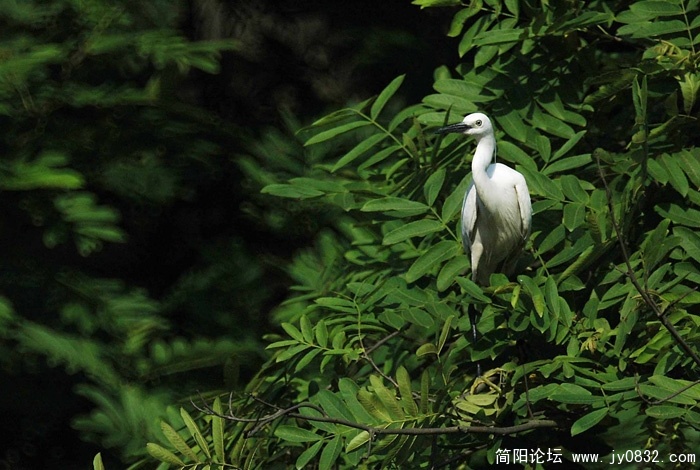 DSC_1721副本副本.jpg