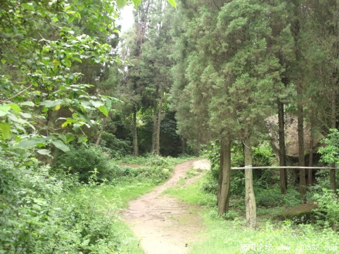 DSCF2648.JPG