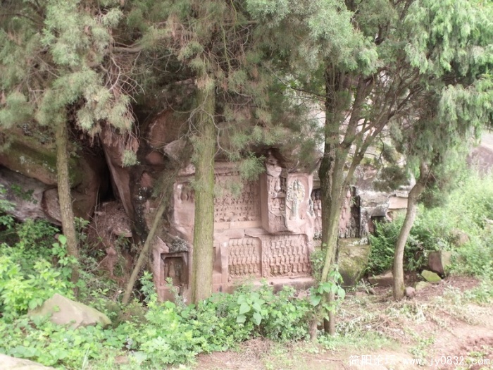 DSCF2674.JPG