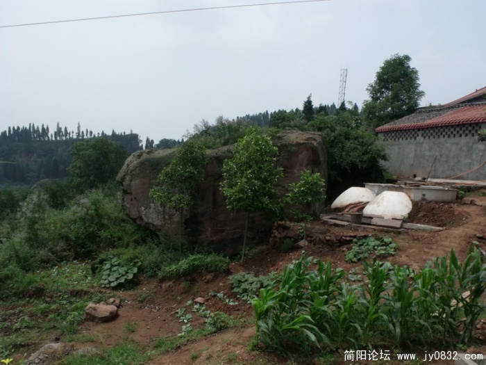 DSCF2601.JPG