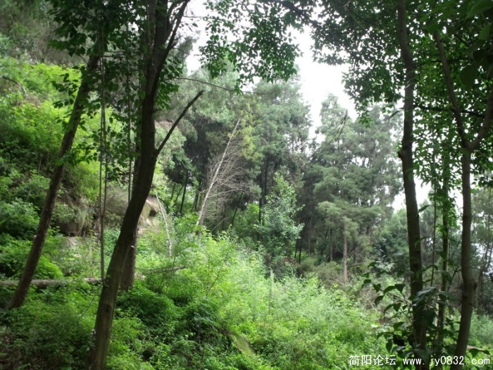 DSCF2641.JPG
