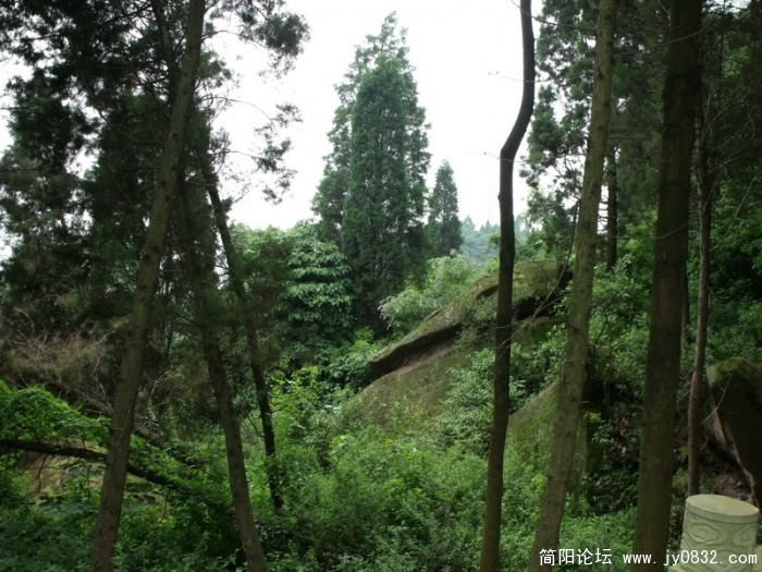 DSCF2635.JPG