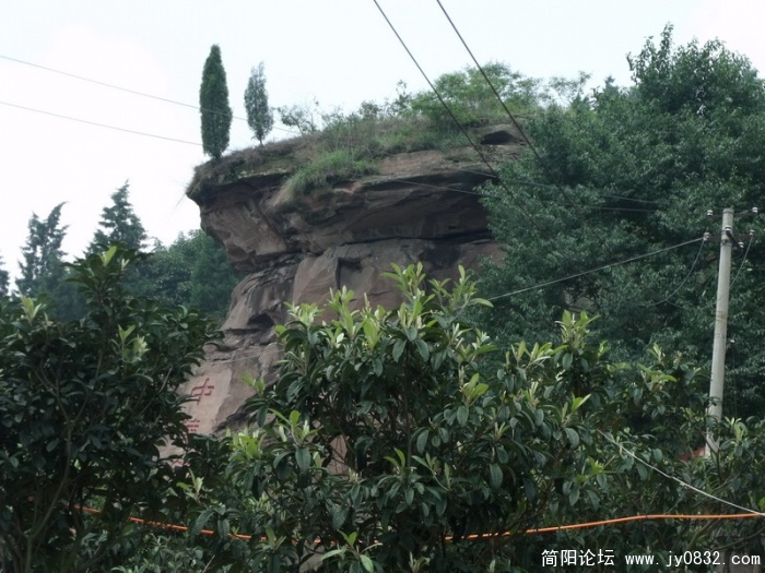 DSCF2603.JPG