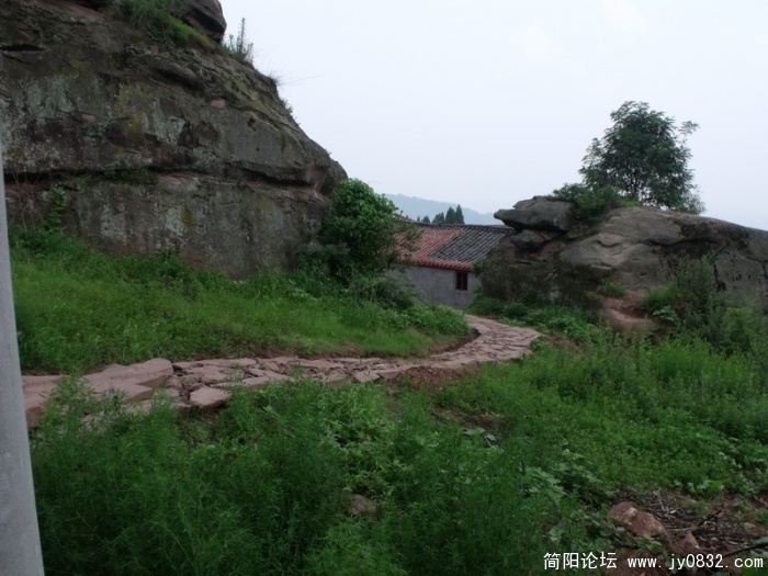 DSCF2684.JPG