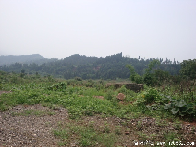 DSC00913.JPG