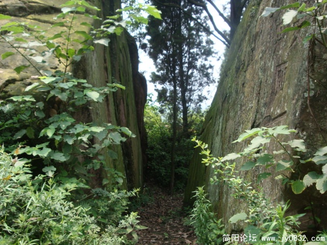 DSC00954.JPG