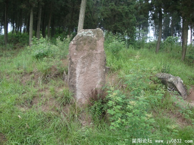DSC00971.JPG