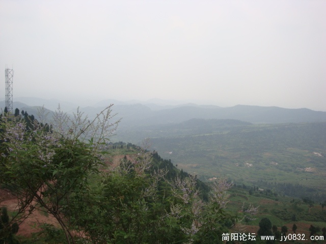 DSC00967.JPG