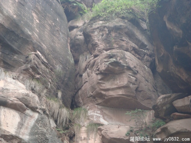 DSC00950.JPG