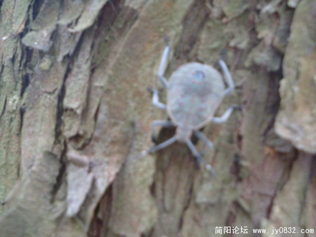 DSC00957.JPG