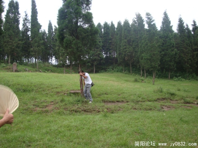 DSC00972.JPG