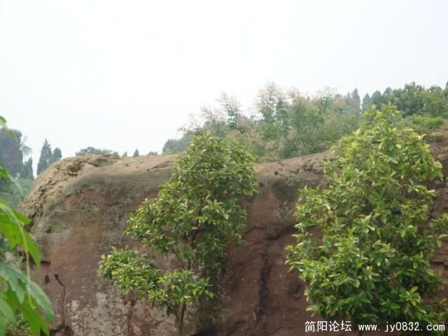 DSC00924.JPG