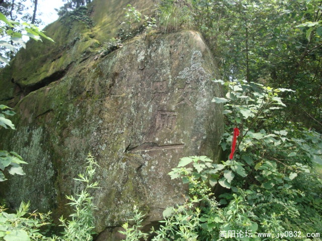 DSC00955.JPG