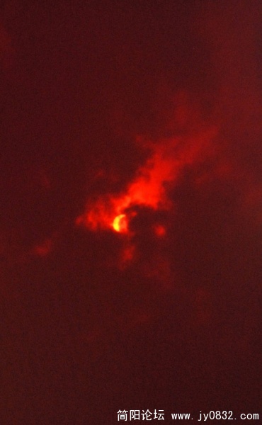 DSC_6978.JPG