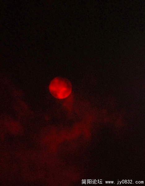DSC_7003.JPG