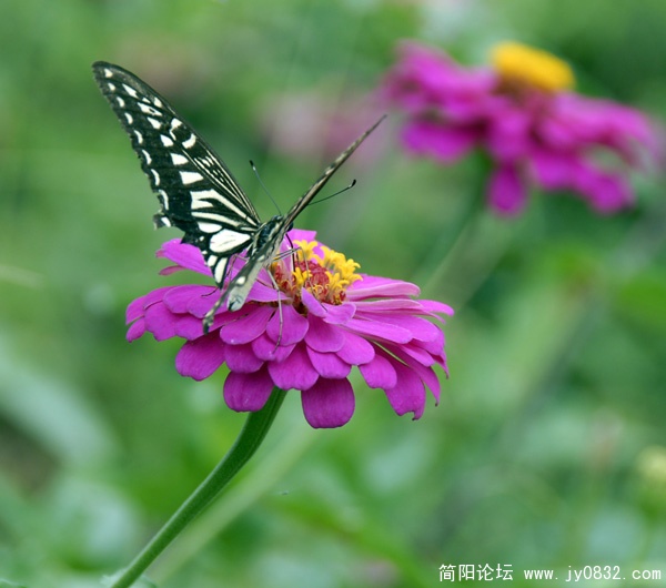 _XYW7405.JPG