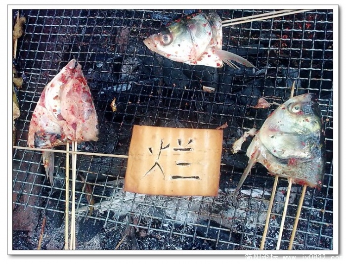 nEO_IMG_图像0325.jpg