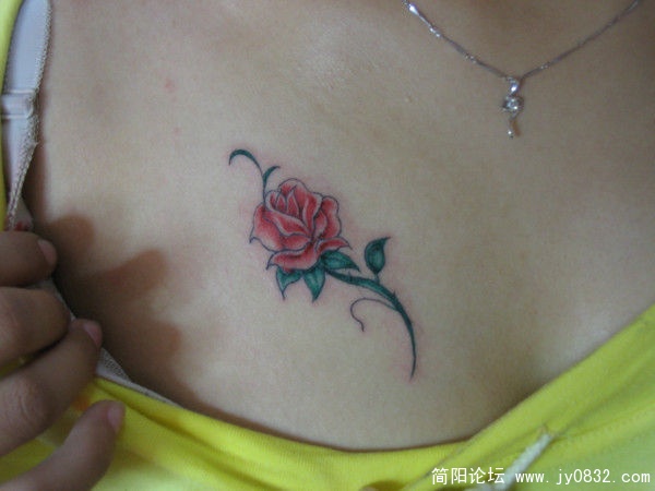 0d1c9bf2a260bbea0a46e084.jpg