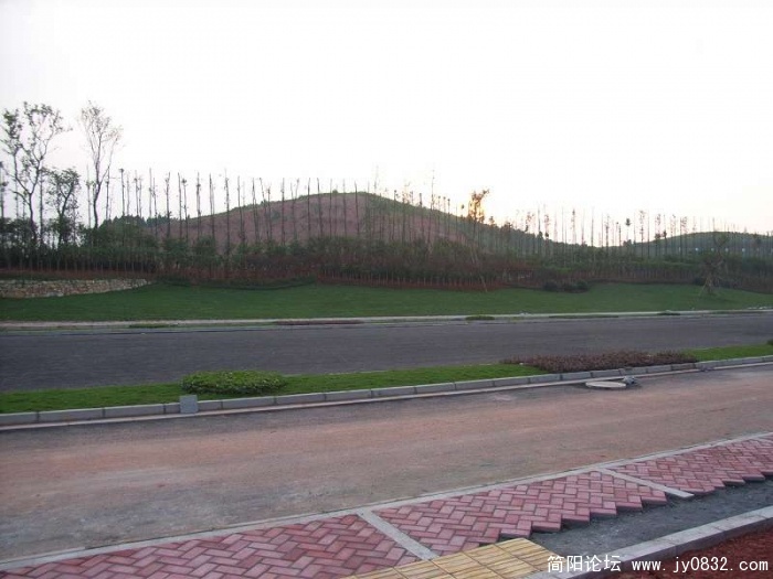 28.jpg
