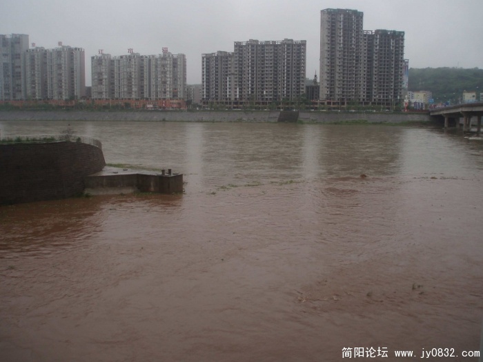 P7317562.JPG