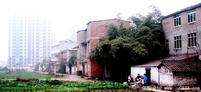 2008.12变迁2.JPG