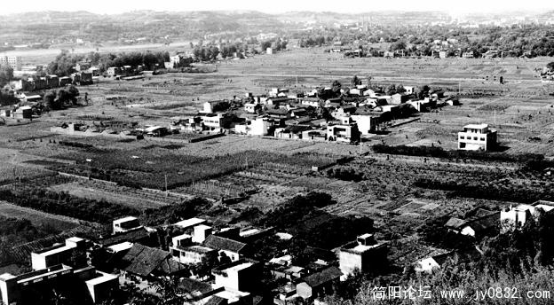 1990河东.jpg