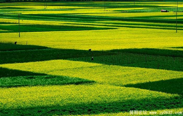 DSC_6705 拷贝.jpg
